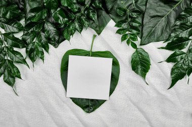 Tekstil zemininde yeşil yapraklı beyaz kart modeli, yaratıcı düzen, düz döşeme, metin için alan, üst görünüm, ürün afişi, doğa konsepti.
