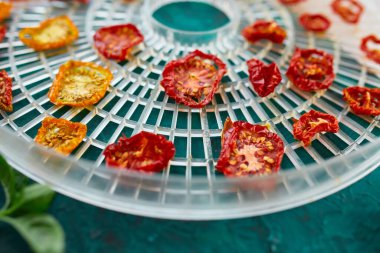 Ev yapımı kurutulmuş domatesler yeşil arka plandaki kurutucudan süzgeçte. Üst görünüm, kopyalama alanı, düz uzanma