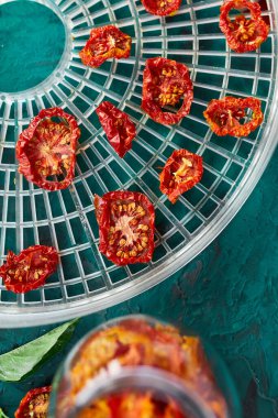 Ev yapımı kurutulmuş domatesler yeşil arka plandaki kurutucudan süzgeçte. Üst görünüm, kopyalama alanı, düz uzanma