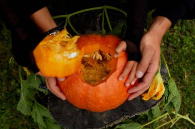 Kız ve baba ellerini açar Cadılar Bayramı için oymadan önce balkabağı keser Jack O 'Lantern' i hazırlar. Parti için dekorasyon, Küçük aile yardımcısı, Üst Manzara, Kapat, Yukarıdan görünüm, Boşluğu kopyala