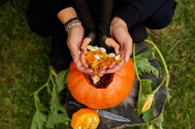 Cadılar Bayramı için oymadan önce kabaktan tohum ve lifli malzeme çıkaran kız ve baba elleri Jack O 'Lantern' i hazırlıyor. Parti için dekorasyon, Küçük aile yardımcısı, Üst Manzara, Kapat, Yukarıdan görünüm, Boşluğu kopyala
