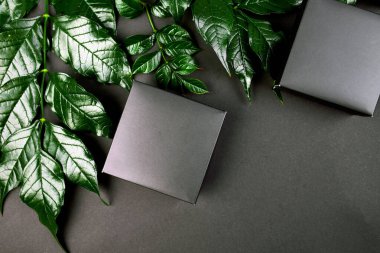 Siyah hediye kutusu için maket. Kenarlarında yeşil yapraklar olan koyu bir arkaplan. Yaratıcı düzen, düz döşeme, doğa konsepti, metin için alan, üst görünüm..