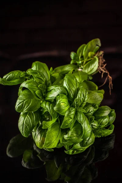 Bouquet Basilic Frais Avec Des Racines Sur Fond Noir — Photo