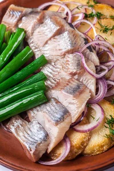 Seramik tabak beyaz zemin üzerine kırmızı kil. bir tabak kızarmış patates, tuzlu salamura ringa balığı, yeşil soğan ve maydanoz. Yeni yıl aperatifler masada kavramı.