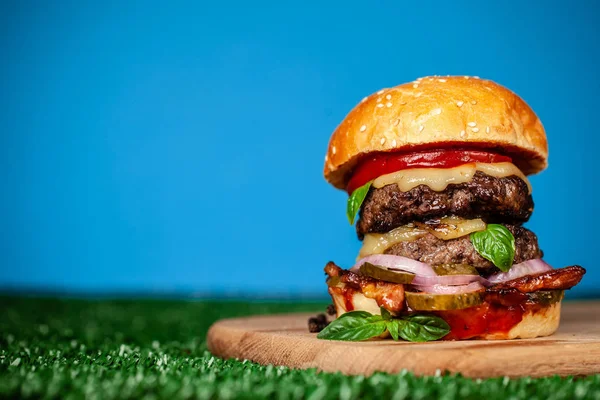 American home burger with two juicy cutlets from beef, pork, lamb or veal on the grass, on the sky horizon. background image. concept street food. copy space, top view