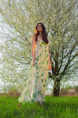 mavi gözlü parlak güneşin tam büyüme çiçek bahçesinde ince kahverengi saçlı kadın