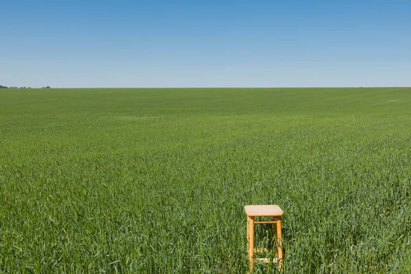 スツール日当たりの良い明るいの澄んだ青い空の下で緑の麦畑の夏の日 — ストック写真