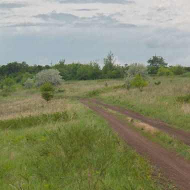 köy bulutlu gökyüzü gün boyunca sakin kuru havalarda ilkbaharda toprak yol