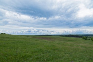 ufuk ötesine gidiyor mavi bulutlu gökyüzü altında yeşil çayır