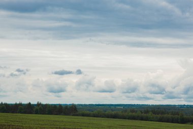 ufuk ötesine gidiyor mavi bulutlu gökyüzü altında yeşil çayır