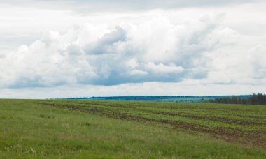 ufuk ötesine gidiyor mavi bulutlu gökyüzü altında yeşil çayır