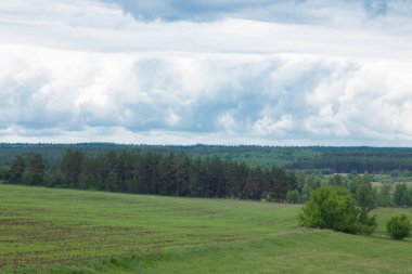 ufuk ötesine gidiyor mavi bulutlu gökyüzü altında yeşil çayır