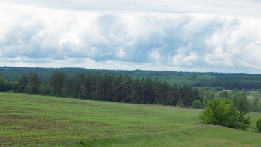 ufuk ötesine gidiyor mavi bulutlu gökyüzü altında yeşil çayır