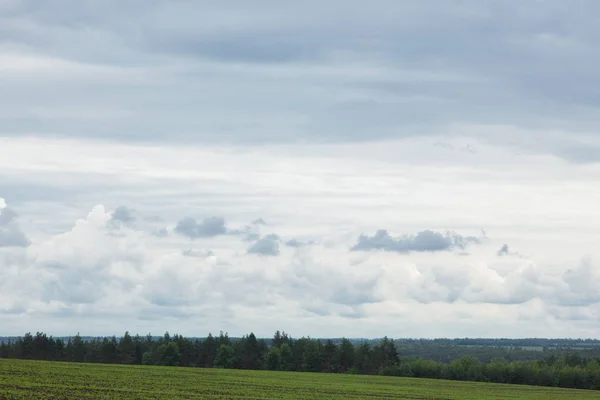 Prairie Verte Sous Ciel Bleu Nuageux Qui Dépasse Horizon — Photo
