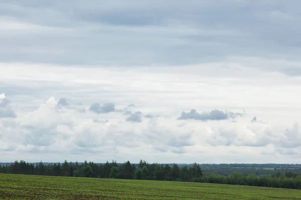 Prairie Verte Sous Ciel Bleu Nuageux Qui Dépasse Horizon — Photo