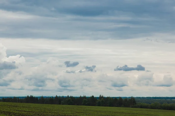 Prairie Verte Sous Ciel Bleu Nuageux Qui Dépasse Horizon — Photo