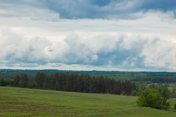 Zielona Łąka Pod Błękitne Niebo Pochmurne Wykraczające Poza Horyzont — Zdjęcie stockowe
