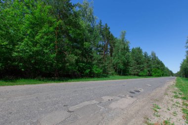 fakir bir ülke yol kenarına kadar parlak yaz güneşli günde bir iğne yapraklı orman