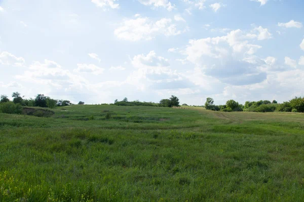 toprak yol yükselir çimlerin arasında bir tepe üzerinde gider ufuk ve beyaz bulut mavi sette