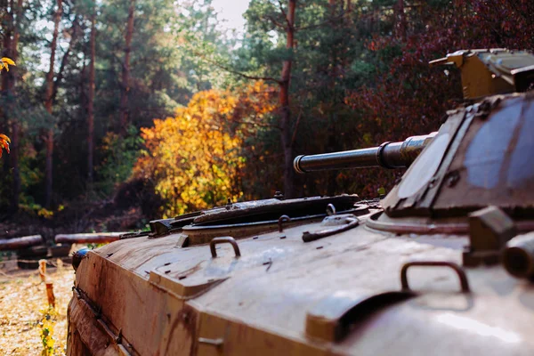 siperlerde Donbass Ukrayna kılık değiştirmiş gerçek muharebe tankları