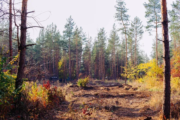 Donets Havzası gerçek bir savaş tankı