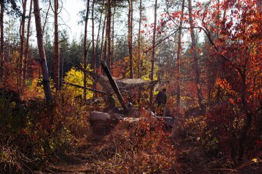 gerçek muharebe tankları Ukrayna asfaltsız orman yolu boyunca hareket