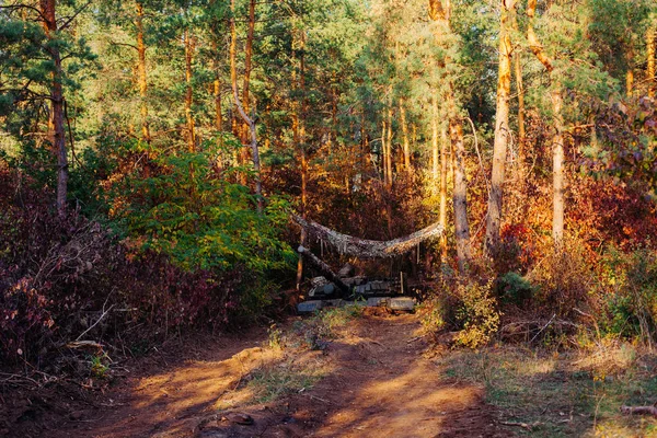 Gizli pozisyon tanktan açmada kılığında