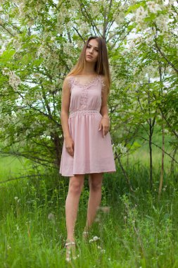 cinsel kız uzun saç güneşli öğleden sonra çiçek açması beyaz akasya karşısında çözünmüş