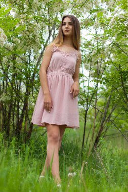 cinsel kız uzun saç güneşli öğleden sonra çiçek açması beyaz akasya karşısında çözünmüş