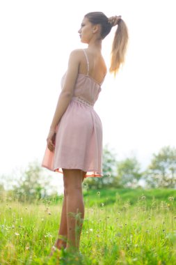 cinsel kız uzun saç güneşli öğleden sonra çiçek açması beyaz akasya karşısında çözünmüş