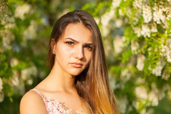 Retrato Cerca Una Hermosa Joven Torno Acacia Blanca Primavera — Foto de Stock