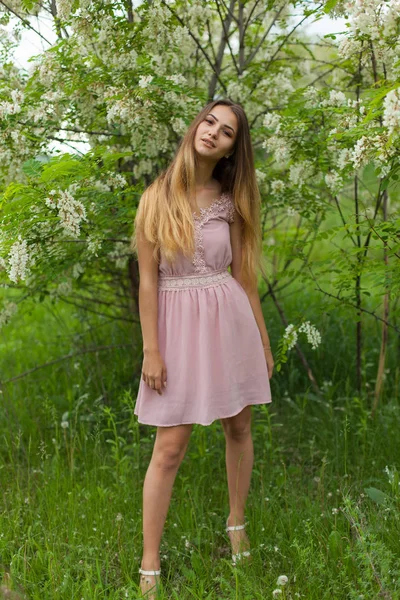 Sexmädchen Hat Lange Haare Aufgelöst Sonnig Nachmittag Gegenüber Blühender Weißer — Stockfoto