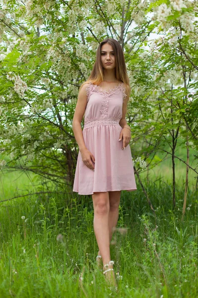 cinsel kız uzun saç güneşli öğleden sonra çiçek açması beyaz akasya karşısında çözünmüş