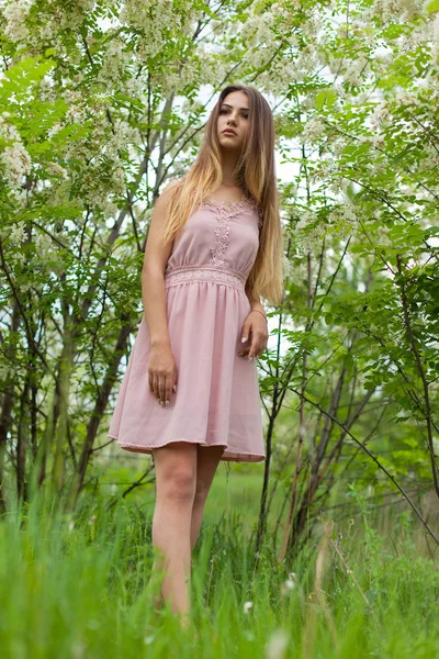 Sexmädchen Hat Lange Haare Aufgelöst Sonnig Nachmittag Gegenüber Blühender Weißer — Stockfoto