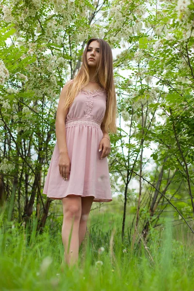 Sexmädchen Hat Lange Haare Aufgelöst Sonnig Nachmittag Gegenüber Blühender Weißer — Stockfoto