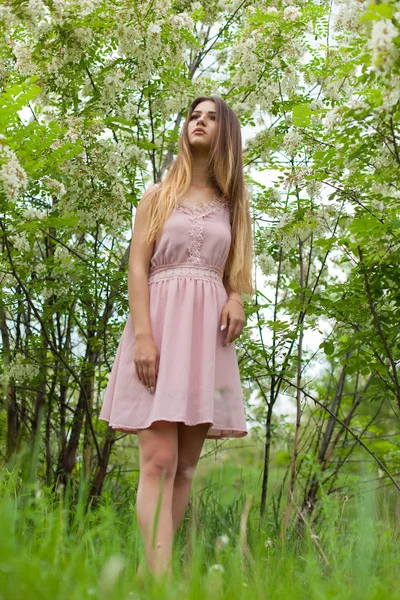 Sexmädchen Hat Lange Haare Aufgelöst Sonnig Nachmittag Gegenüber Blühender Weißer — Stockfoto