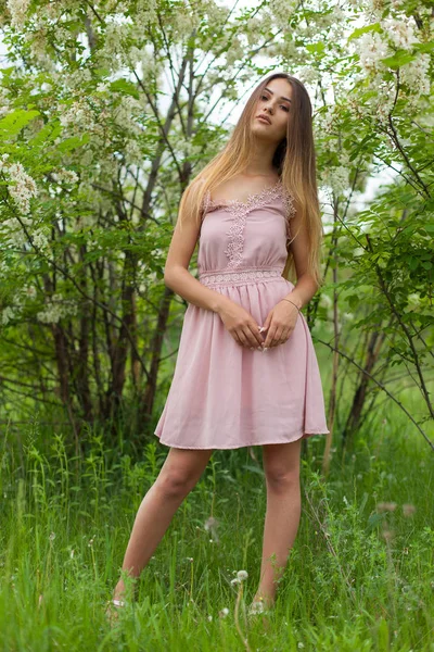 Sexmädchen Hat Lange Haare Aufgelöst Sonnig Nachmittag Gegenüber Blühender Weißer — Stockfoto