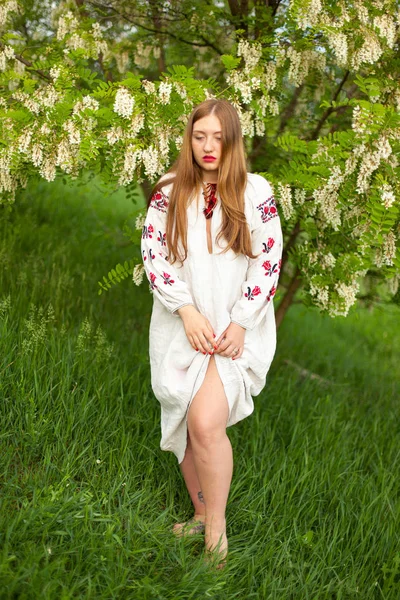 白いアカシア花に対して誘惑ポーズ刺繍と長いシャツにリネンのウクライナの女の子 — ストック写真