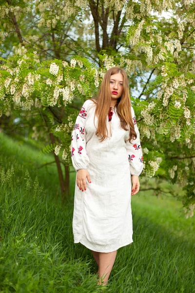 Украинка Льняной Длинной Рубашке Вышивкой Соблазнительно Позирует Против Цветущей Белой — стоковое фото