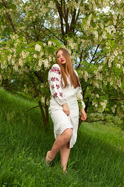 Ukrainisches Mädchen Einem Leinenlangen Hemd Mit Stickerei Posiert Verführerisch Vor — Stockfoto