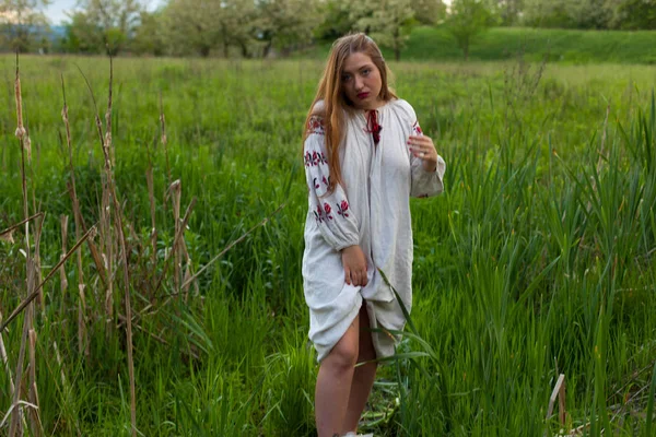 Ukrainisches Mädchen Leinenlangen Hemd Mit Stickerei Posiert Verführerisch Auf Einer — Stockfoto