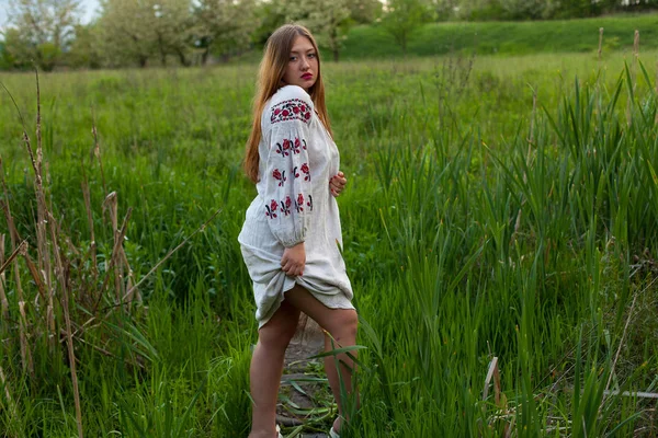 Ukrajinská Dívka Lněné Dlouhé Tričko Výšivka Svůdně Pózuje Louce Zelený — Stock fotografie