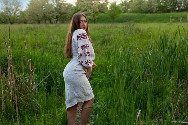 Gadis Ukraina Dengan Kemeja Panjang Dengan Bordir Menggoda Berpose Padang — Stok Foto