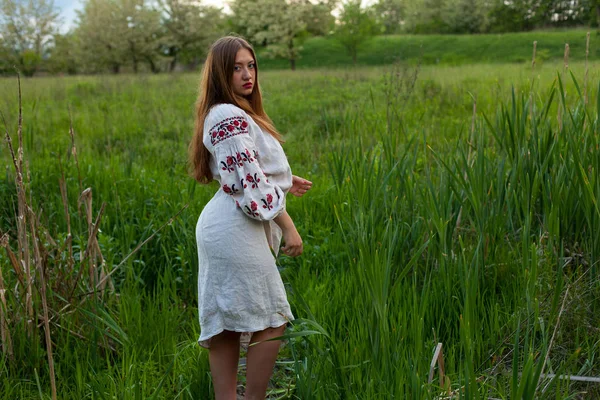 Nakış seductively yeşil bahar çayır üzerinde poz ile keten uzun gömlekli Ukraynalı kız