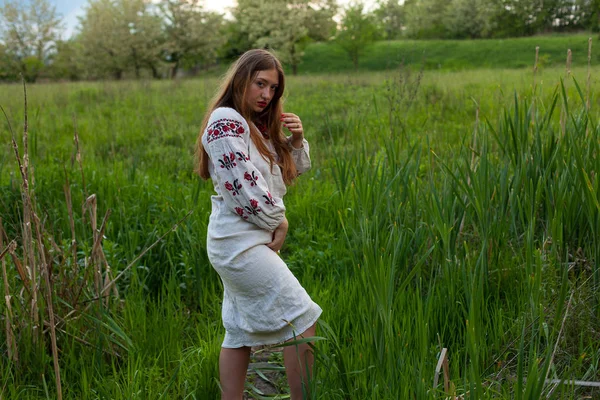 Ukrainisches Mädchen Leinenlangen Hemd Mit Stickerei Posiert Verführerisch Auf Einer — Stockfoto