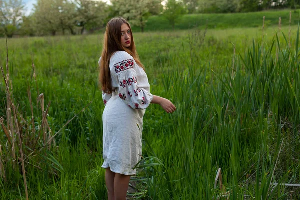 緑の春の草原で誘惑ポーズ刺繍と長いシャツにリネンのウクライナの女の子 — ストック写真