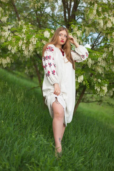 白いアカシア花に対して誘惑ポーズ刺繍と長いシャツにリネンのウクライナの女の子 — ストック写真