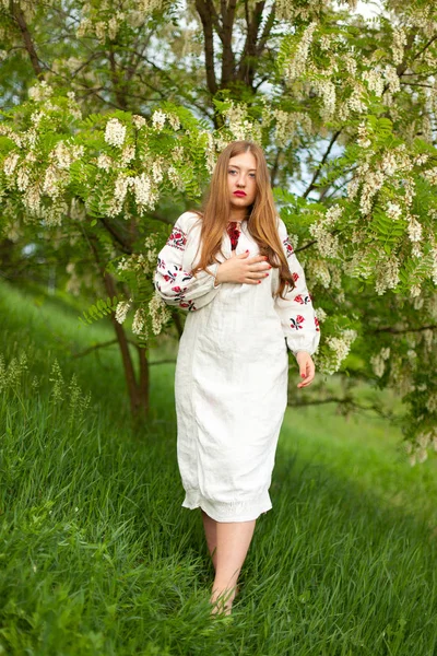 Ukrajinská Dívka Lněné Dlouhé Tričko Výšivka Svůdně Vystupují Proti Květy — Stock fotografie