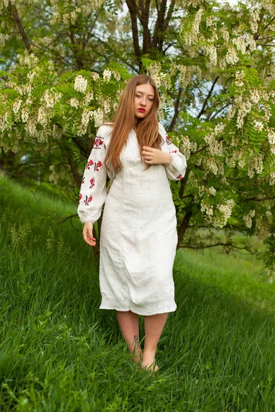 Украинка Льняной Длинной Рубашке Вышивкой Соблазнительно Позирует Против Цветущей Белой — стоковое фото