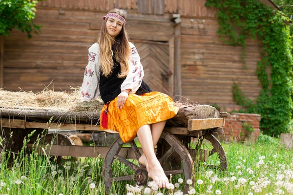 Nakış köyün ahırda bir ahşap çerçeve arka plan üzerinde güzel ince Ukraynalı kadın ahşap sepeti üzerinde oturur